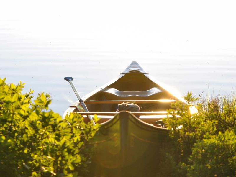 accessibility screenshot 5