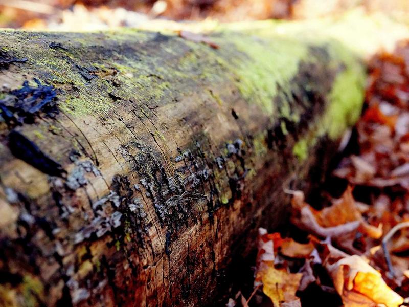 accessibility screenshot 2